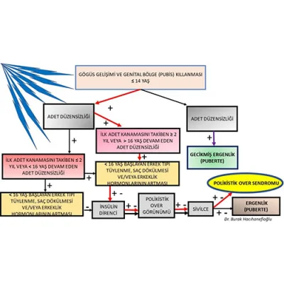 Polikistik Over Sendromu’nda Erken Teşhis